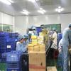 贴牌源头厂家瓷善生物