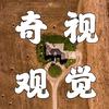奇观视觉