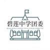 青春碧中