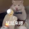 鼠大王（三角洲行动）