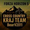 BearV2011