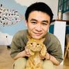 超级棒棒桐