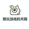 爱玩游戏的天赐