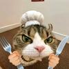 就爱吃肉肉