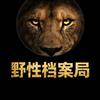 野性档案局