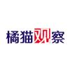 橘猫观察
