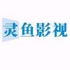 灵鱼影视