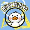 鹅圈情报站