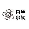 白兰水族