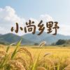 小尚乡野