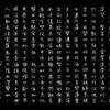 糟木匠InC