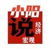 小阳说宏观经济