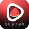 西瓜逆袭剧场