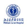 北大医疗潞安医院