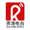贵港综合广播FM101.9