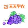 天天学农葡萄种植