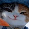 猫meme电影院