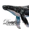 Whale Eleven