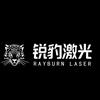 锐豹激光（Rayburn Laser）