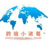 跨境小诸葛