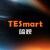 TESmart碲视科技