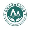 江城林语