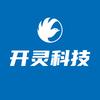 开灵税务专家