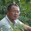 百诱·尼古拉斯·平头哥