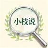 小枝说