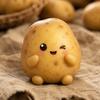 我爱吃土豆🥔