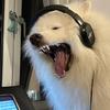 ToneHush