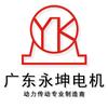 广东永坤电机有限公司制造