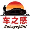 车之感