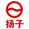 扬子厨房电器优选