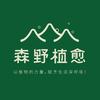 森野植愈