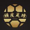 顽皮喵足球