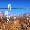 一盏青灯锁孤影