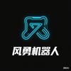 风勇机器人