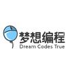 梦想编程老师