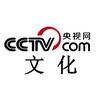 央视网文化