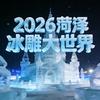 2026年菏泽冰雕大世界官方号