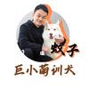 巨小萌训犬