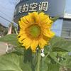 范忠二·家电厨卫经营部