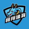 西安翱翔体育