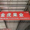 金虎水果-爆品供应（售后无忧）东方鼎信店
