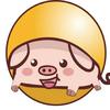 弹珠猪 总部官方号