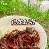 汤氏龙虾垂钓中心🎣