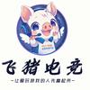 飞猪电竞