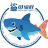 鲨鱼编程