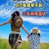 坝上草原乌兰布统—悠享旅行